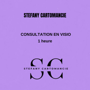 Consultation visio 1h